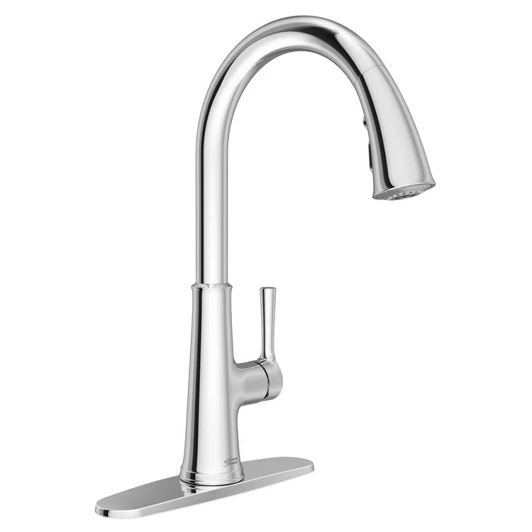 Kitchen Faucet Renate 1 Lever ADA Polished Chrome Pull Down 1.5GPM